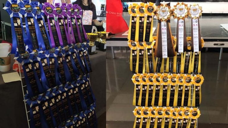 Elegant Custom Award Ribbons For Pet Shows In The Philippines