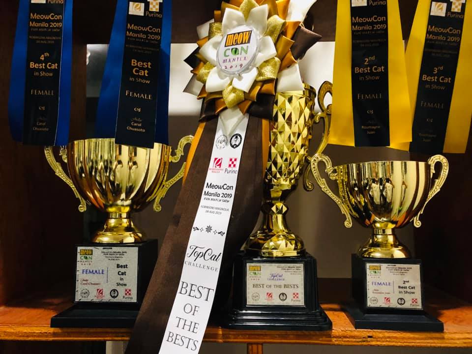 Customized Award Ribbon And Trophy Meowcon2019